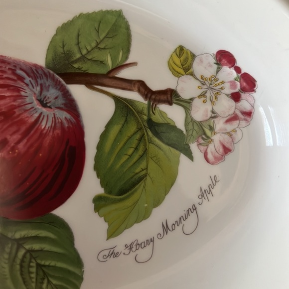 Pomona Portmeirion Oval Dish Designed by Susan Williams “Hoary Morning Apple” - Picture 5 of 7